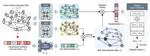 Transmission Interface Power Flow Adjustment: A Deep Reinforcement Learning Approach Based on Multi-Task Attribution Map